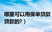 哪里可以用保单贷款（有什么平台可以用保单贷款的?）
