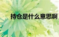 持仓是什么意思啊（持仓是什么意思）