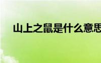 山上之鼠是什么意思（山上之鼠的意思）