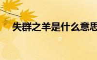 失群之羊是什么意思（失群之羊的意思）