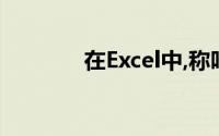 在Excel中,称呼的表达包括()