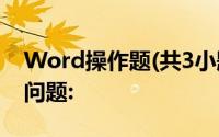 Word操作题(共3小题,共6分),阅读材料回答问题: