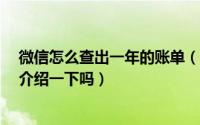 微信怎么查出一年的账单（微信怎么查一年的总账单?可以介绍一下吗）