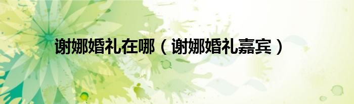 谢娜婚礼在哪（谢娜婚礼嘉宾）