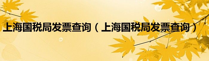 上海国税局发票查询（上海国税局发票查询）