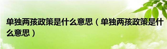 单独两孩政策是什么意思（单独两孩政策是什么意思）