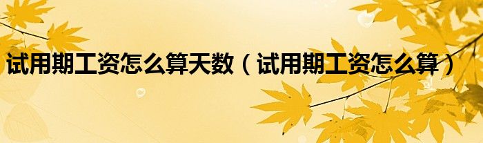 试用期工资怎么算天数（试用期工资怎么算）