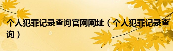 个人犯罪记录查询官网网址（个人犯罪记录查询）