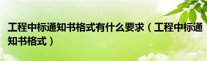 工程中标通知书格式有什么要求（工程中标通知书格式）