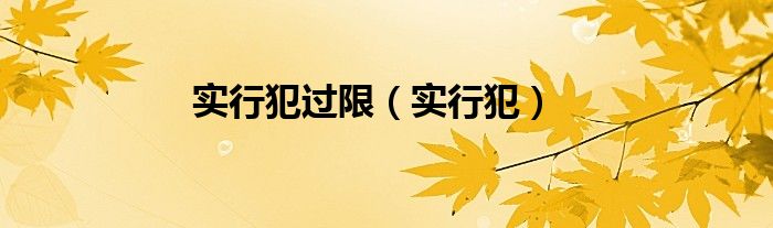 实行犯过限（实行犯）