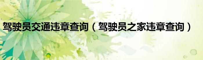 驾驶员交通违章查询（驾驶员之家违章查询）