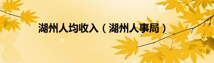 湖州人均收入（湖州人事局）