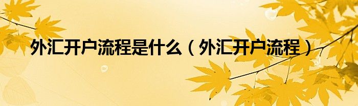 外汇开户流程是什么（外汇开户流程）