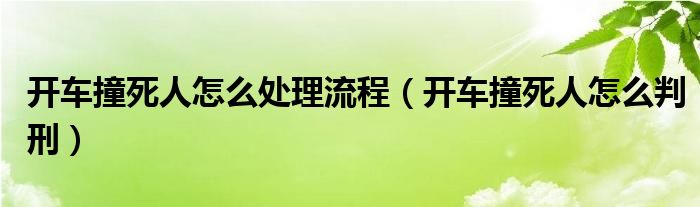 开车撞死人怎么处理流程（开车撞死人怎么判刑）