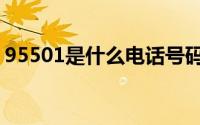 95501是什么电话号码（95501是什么电话）