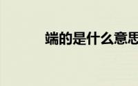 端的是什么意思（端的的意思）