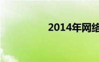 2014年网络理财的分析