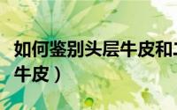 如何鉴别头层牛皮和二层牛皮（如何鉴别头层牛皮）