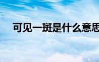 可见一斑是什么意思（可见一斑的意思）