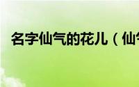 名字仙气的花儿（仙气的花儿名字有哪些）