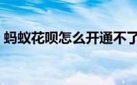 蚂蚁花呗怎么开通不了（蚂蚁花呗怎么开通）