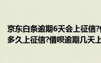 京东白条逾期6天会上征信?借呗逾期几天上征信（京东逾期多久上征信?借呗逾期几天上征信）