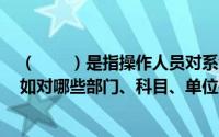 （　　）是指操作人员对系统中哪些数据可进行权限设置，如对哪些部门、科目、单位等有权访问