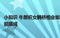 小知识 牛郎织女鹊桥相会如果真有鹊桥大约要多少只喜鹊才能搭成