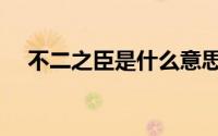 不二之臣是什么意思（不二之臣的含义）