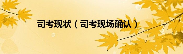 司考现状（司考现场确认）