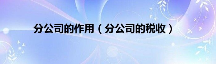 分公司的作用（分公司的税收）