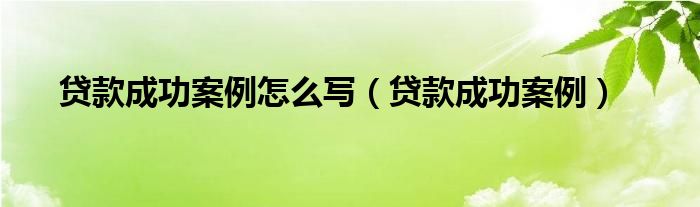 贷款成功案例怎么写（贷款成功案例）