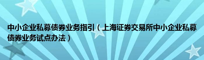 中小企业私募债券业务指引（上海证券交易所中小企业私募债券业务试点办法）