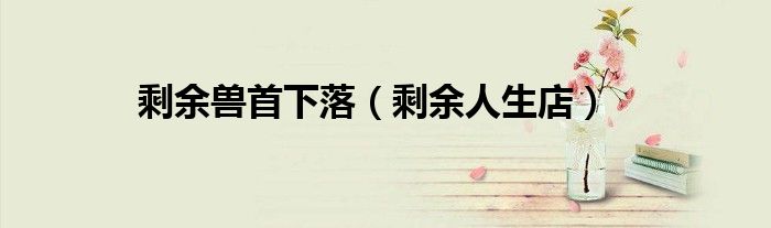 剩余兽首下落（剩余人生店）