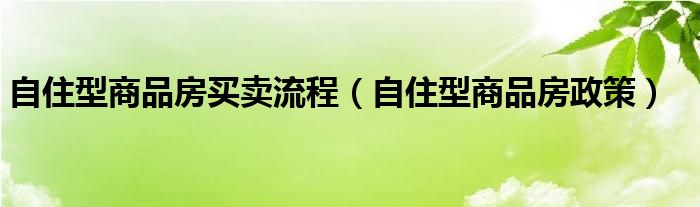 自住型商品房买卖流程（自住型商品房政策）