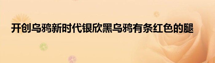 开创乌鸦新时代银欣黑乌鸦有条红色的腿