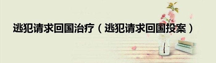 逃犯请求回国治疗（逃犯请求回国投案）