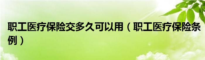 职工医疗保险交多久可以用（职工医疗保险条例）