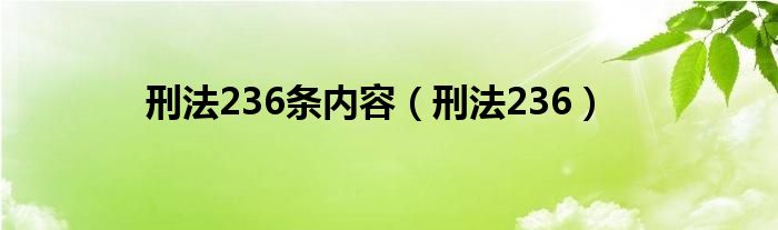 刑法236条内容（刑法236）