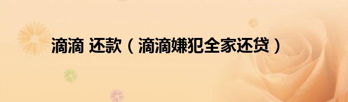 滴滴 还款（滴滴嫌犯全家还贷）