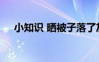 小知识 晒被子落了灰尘可以用力拍打吗