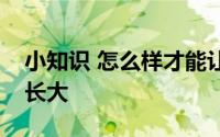 小知识 怎么样才能让芭芭农场里的果树快些长大