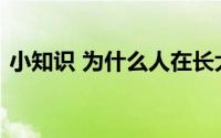 小知识 为什么人在长大后会感觉眼睛变小了