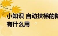 小知识 自动扶梯的阶梯旁边会有一排毛刷这有什么用