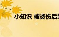小知识 被烫伤后起了水泡如何处理