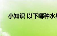小知识 以下哪种水果的含糖量其实更高