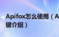 Apifox怎么使用（Apifox使用教程以及快捷键介绍）