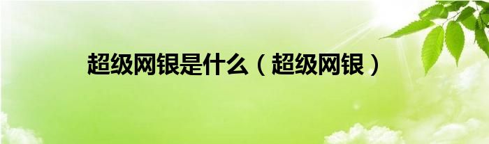 超级网银是什么（超级网银）