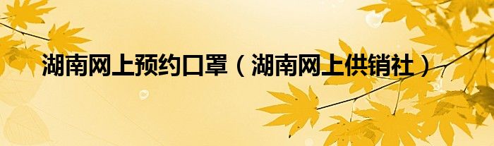 湖南网上预约口罩（湖南网上供销社）
