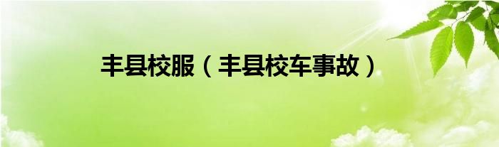 丰县校服（丰县校车事故）